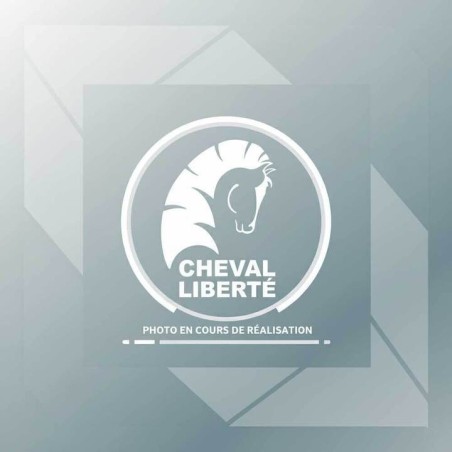 Kit 2 étagères pour fourgons C400 / C500