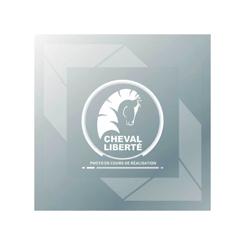 Vérin de hayon arrière F250N