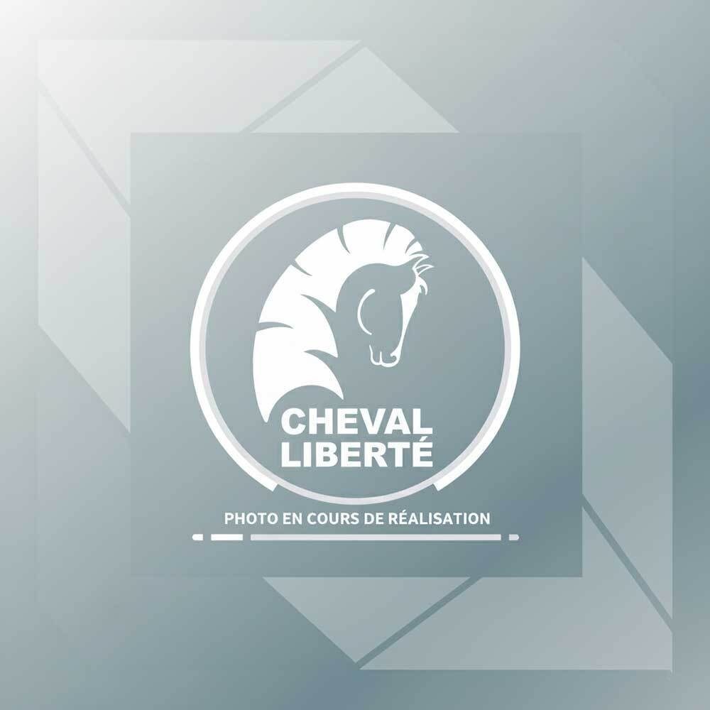 Système de verrou pour hayon arrière de C800  et  C900