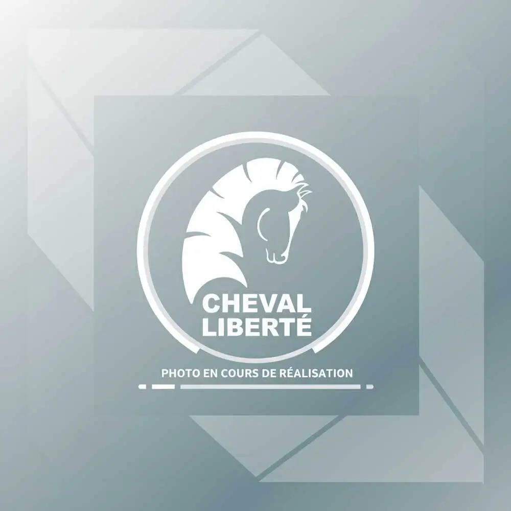 Canne de sécurité pour Benne